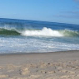 Meet your Posher, Tricia